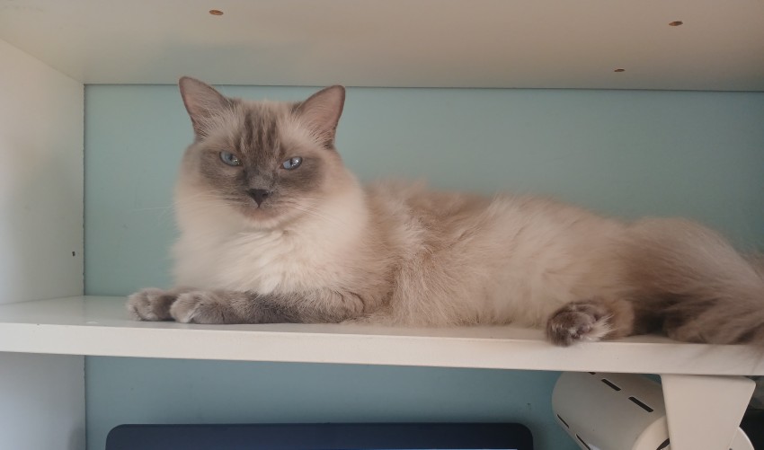 Daisy - mama
