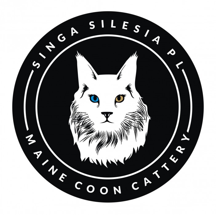 www.singasilesia.com 
